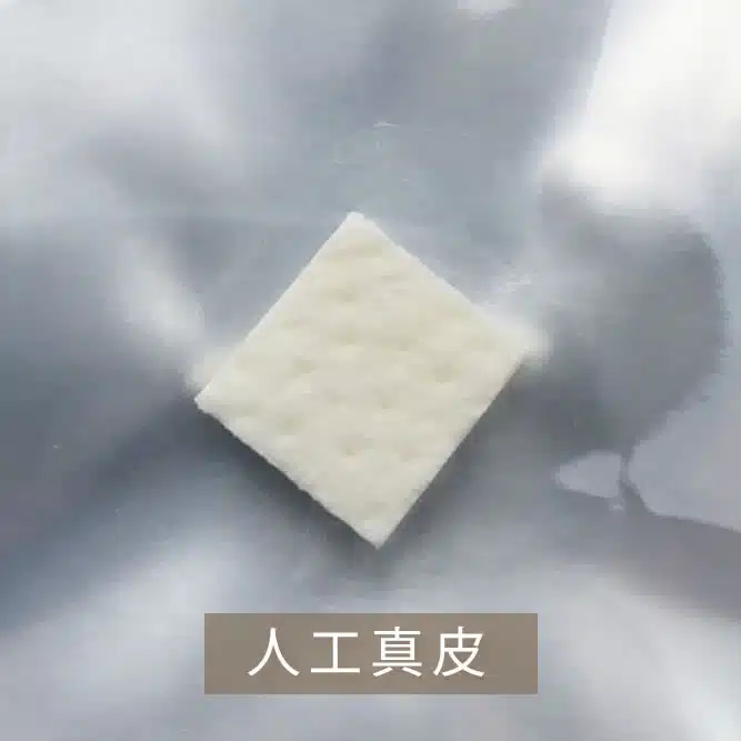 人工真皮の写真 那覇